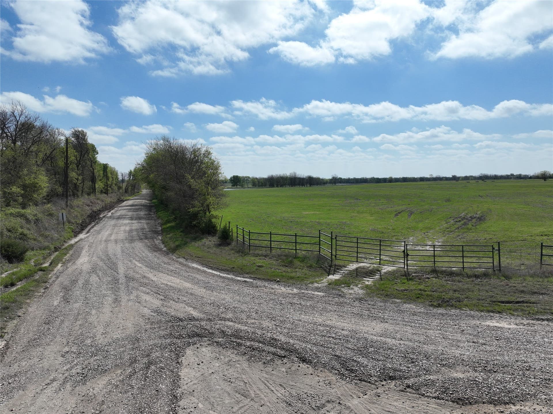 45 acres in Fannin County - photo 17