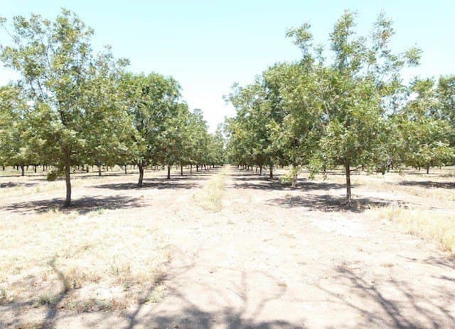 105 acres in San Saba County - photo 6