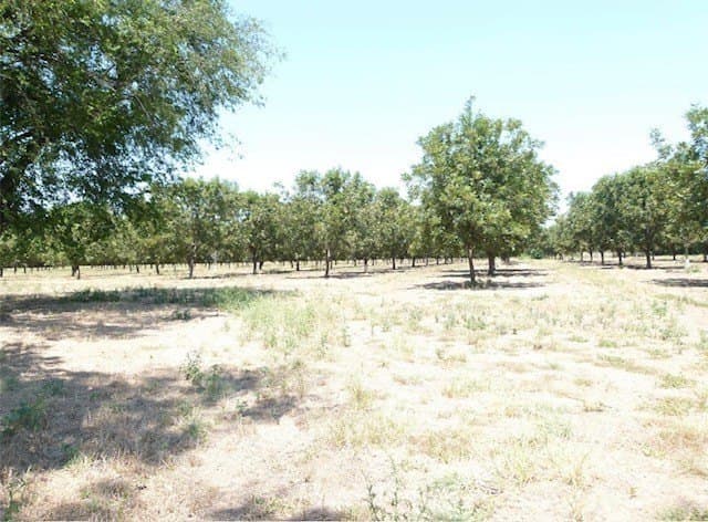 105 acres in San Saba County - photo 7