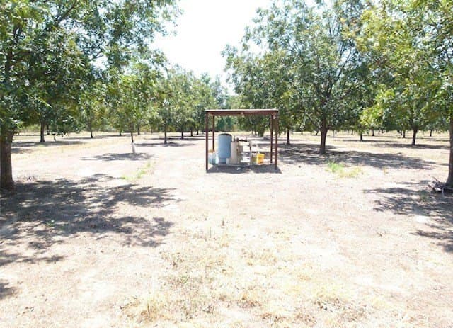 105 acres in San Saba County - photo 11