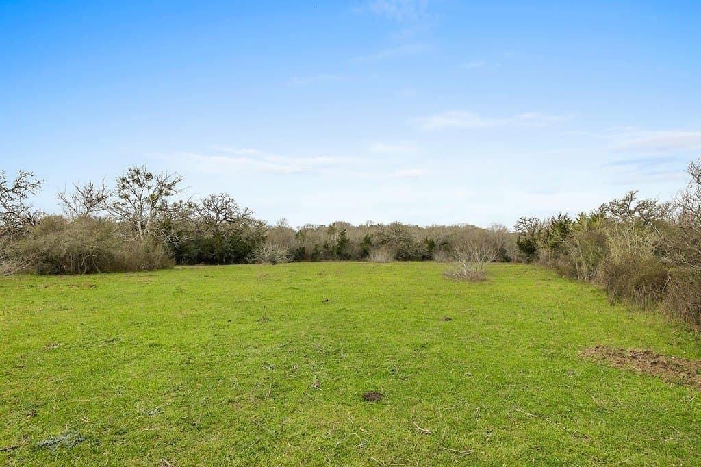 21 acres in Colorado County - photo 6