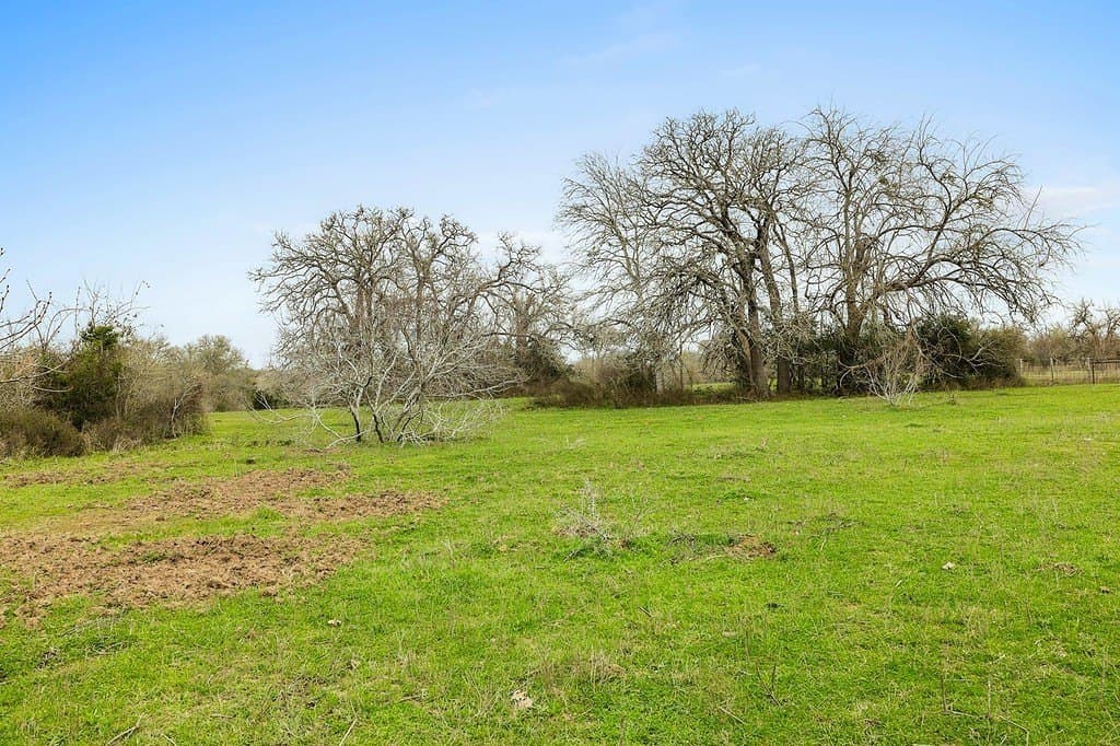 21 acres in Colorado County - photo 8