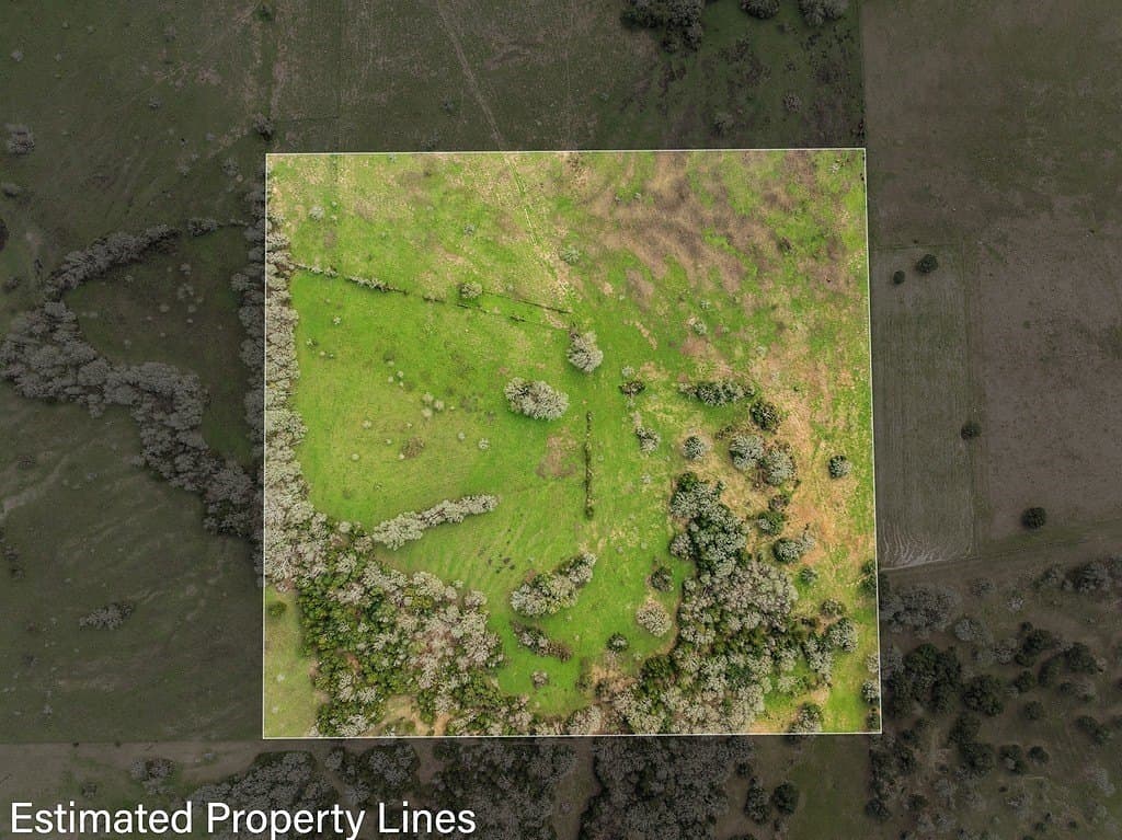 21 acres in Colorado County gallery image 2