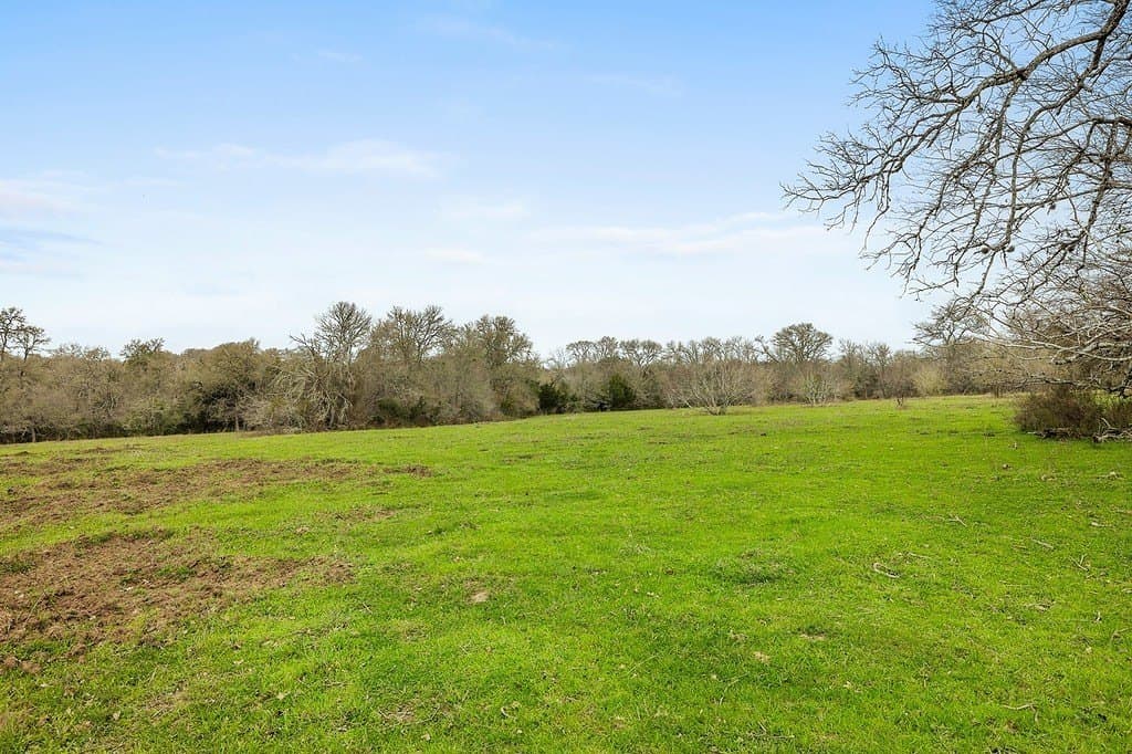 21 acres in Colorado County gallery image 3