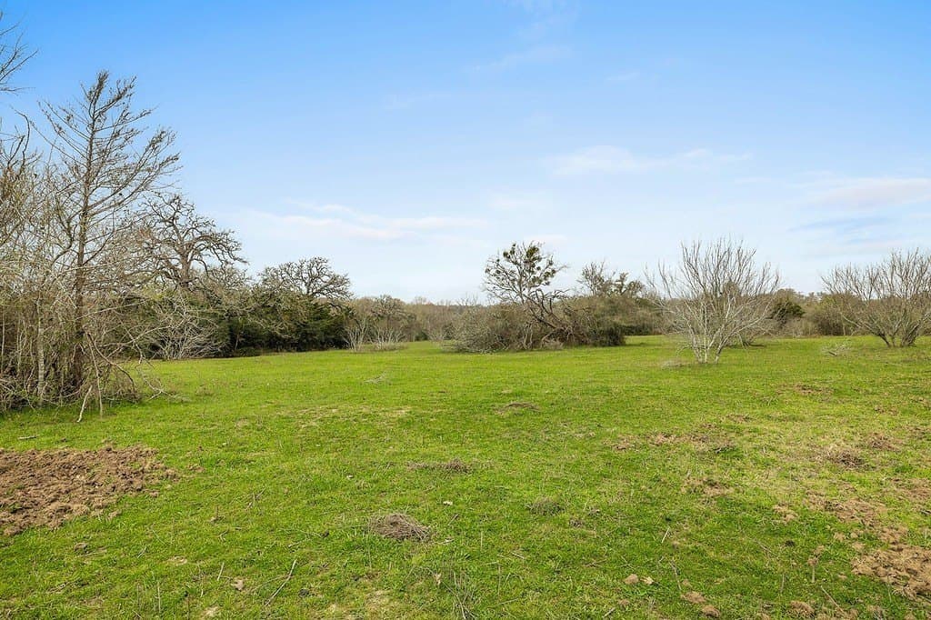 21 acres in Colorado County - photo 7