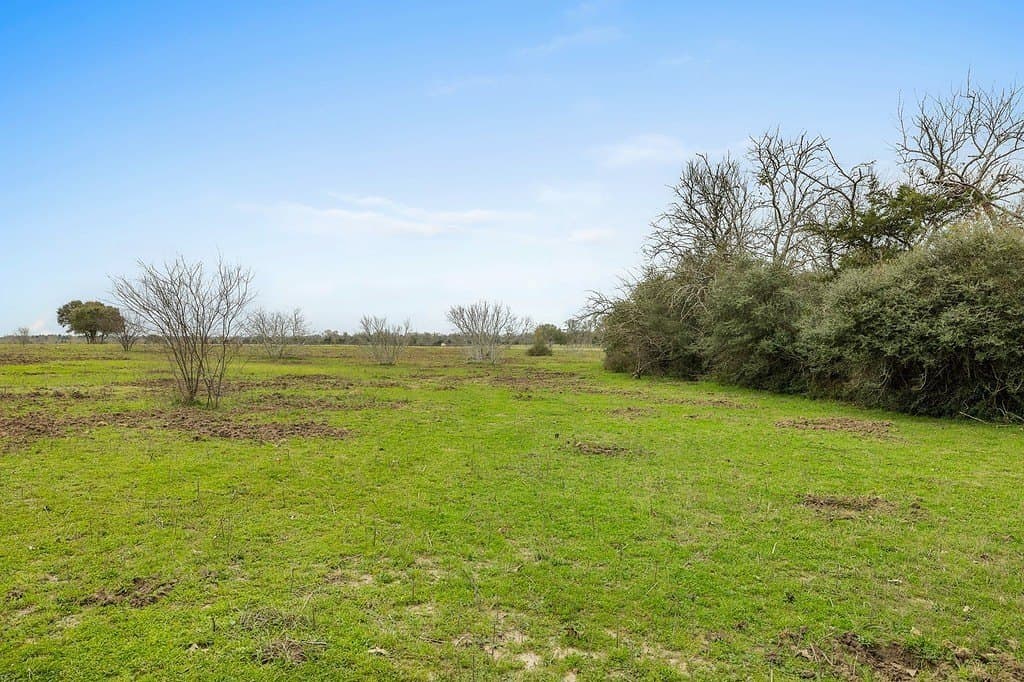 21 acres in Colorado County featured view