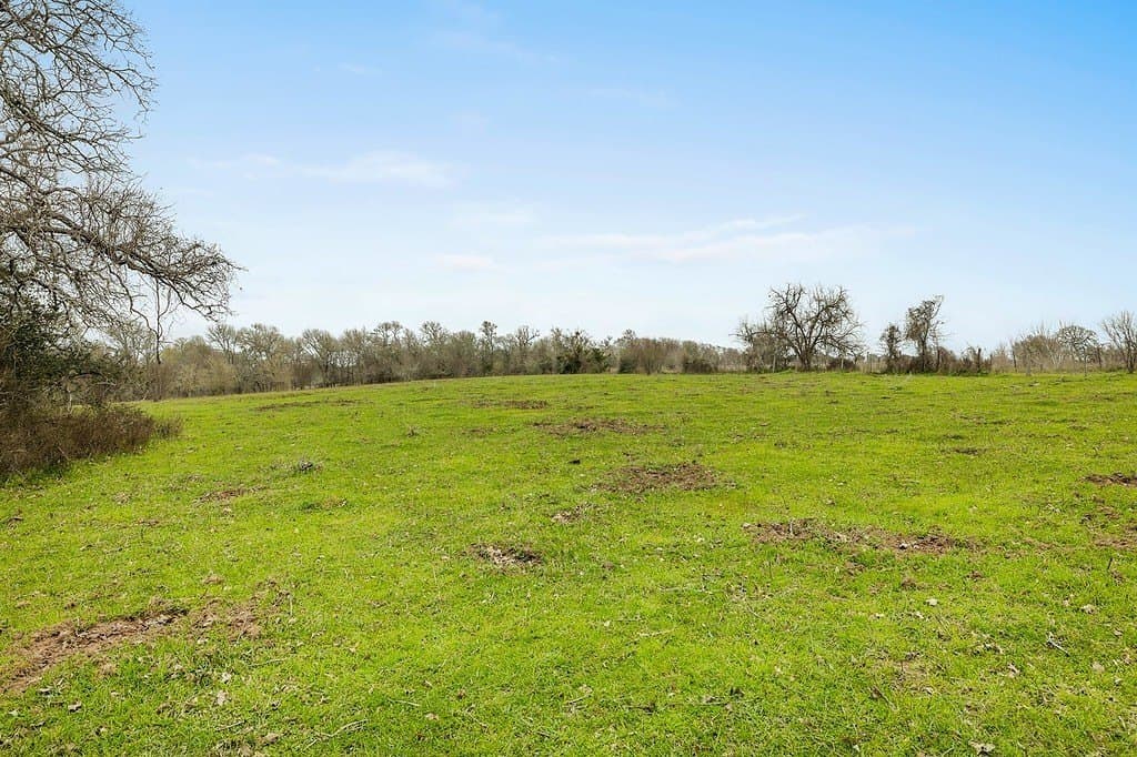 21 acres in Colorado County gallery image 4