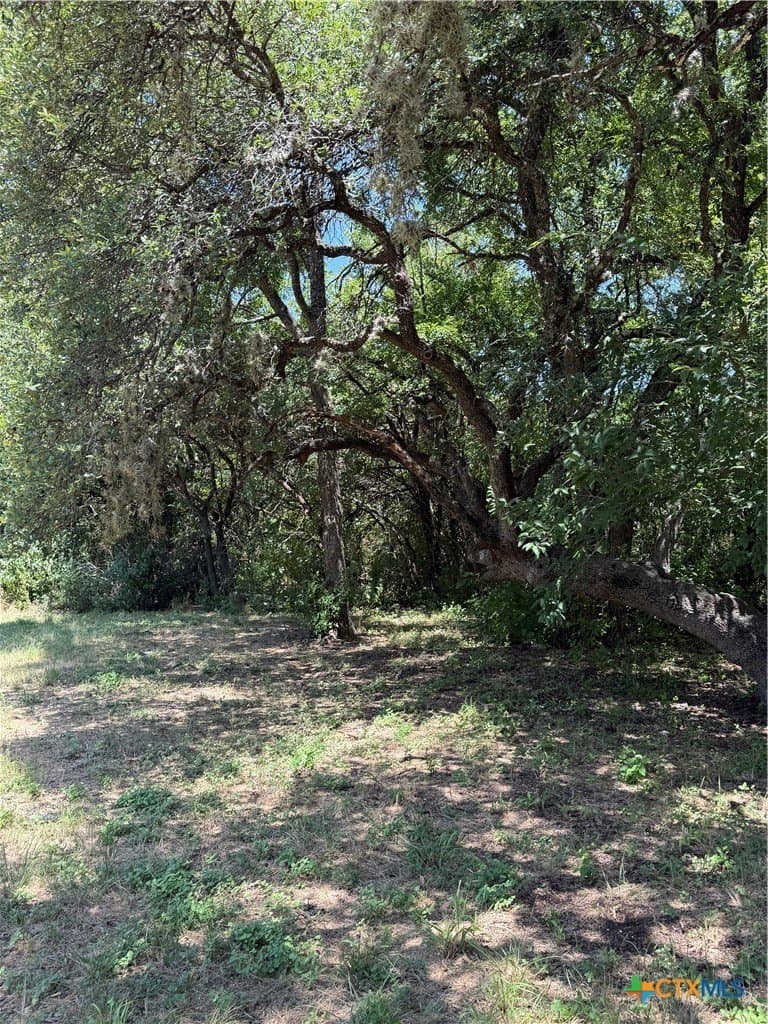 0.12 acres in Travis County gallery image 3