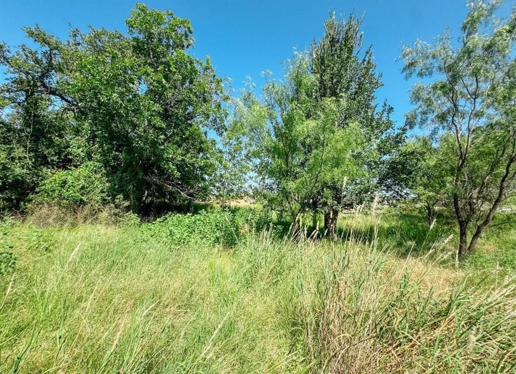 17.99 acres in Brown County gallery image 3