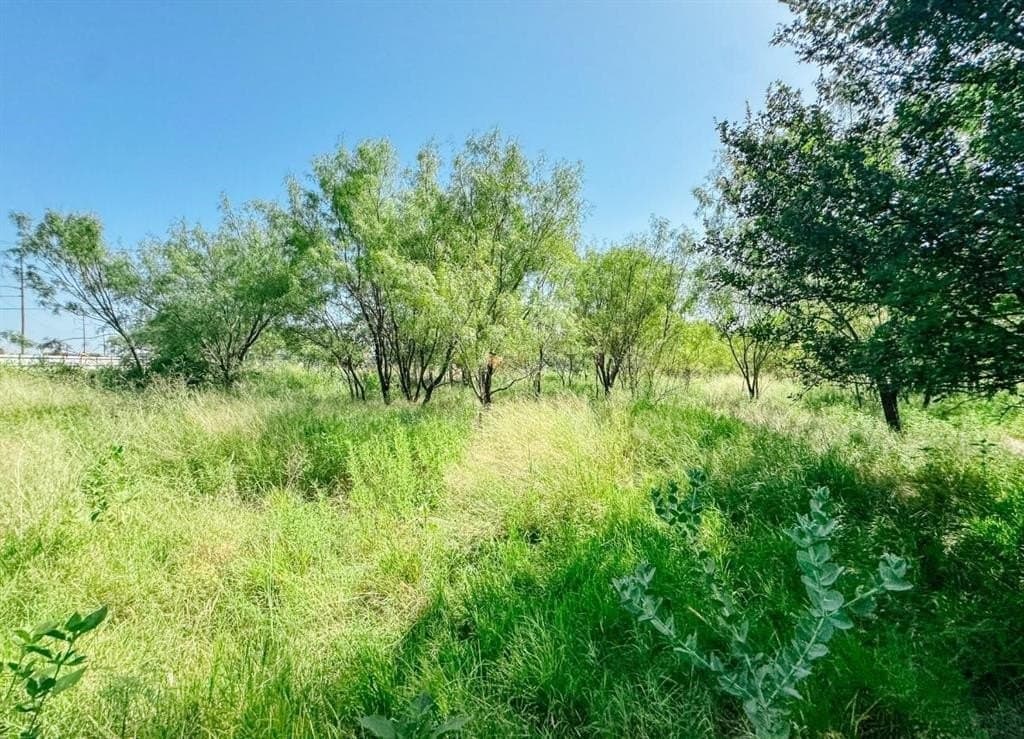 17.99 acres in Brown County gallery image 4