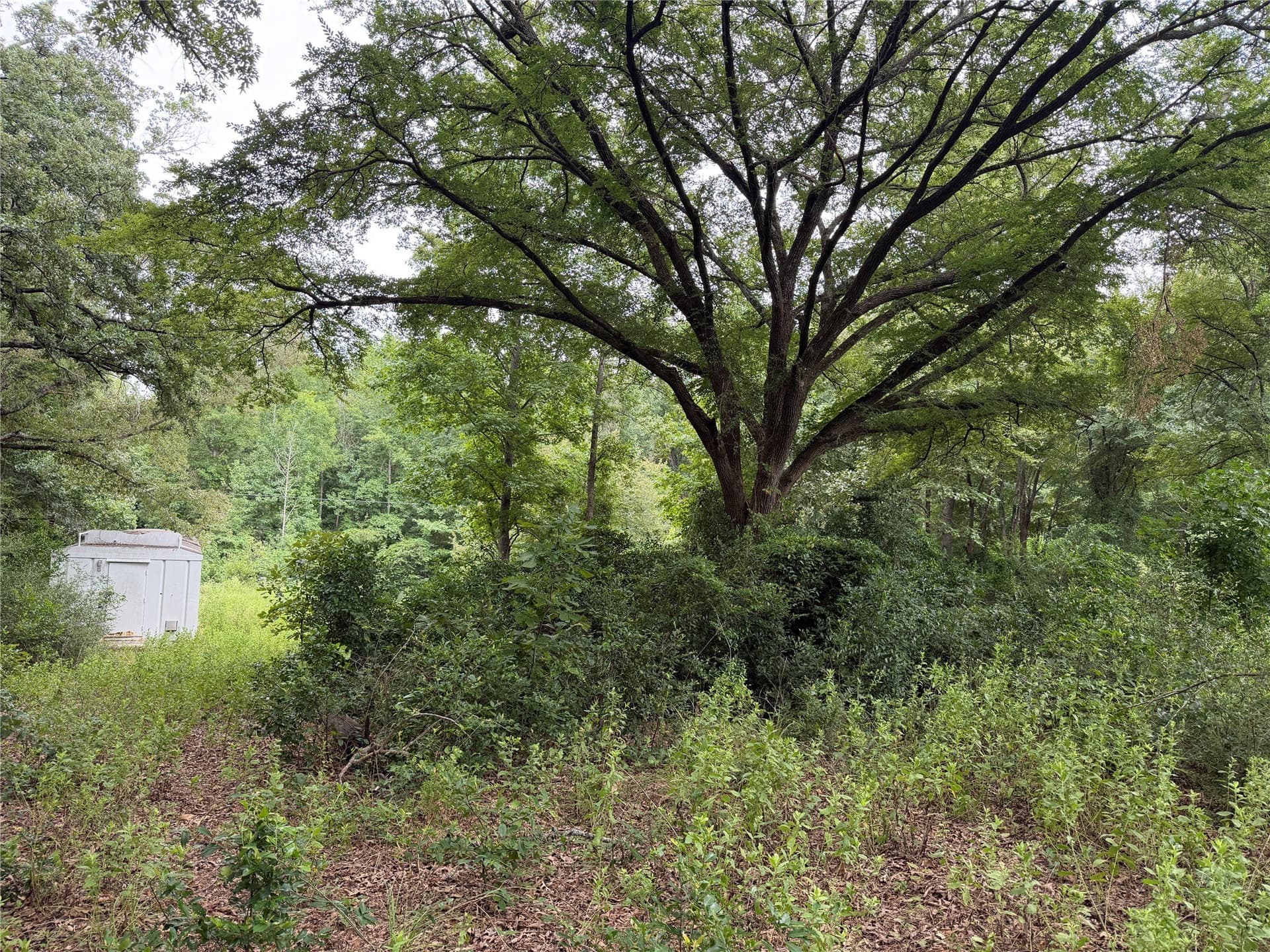3 acres in Henderson County - photo 13