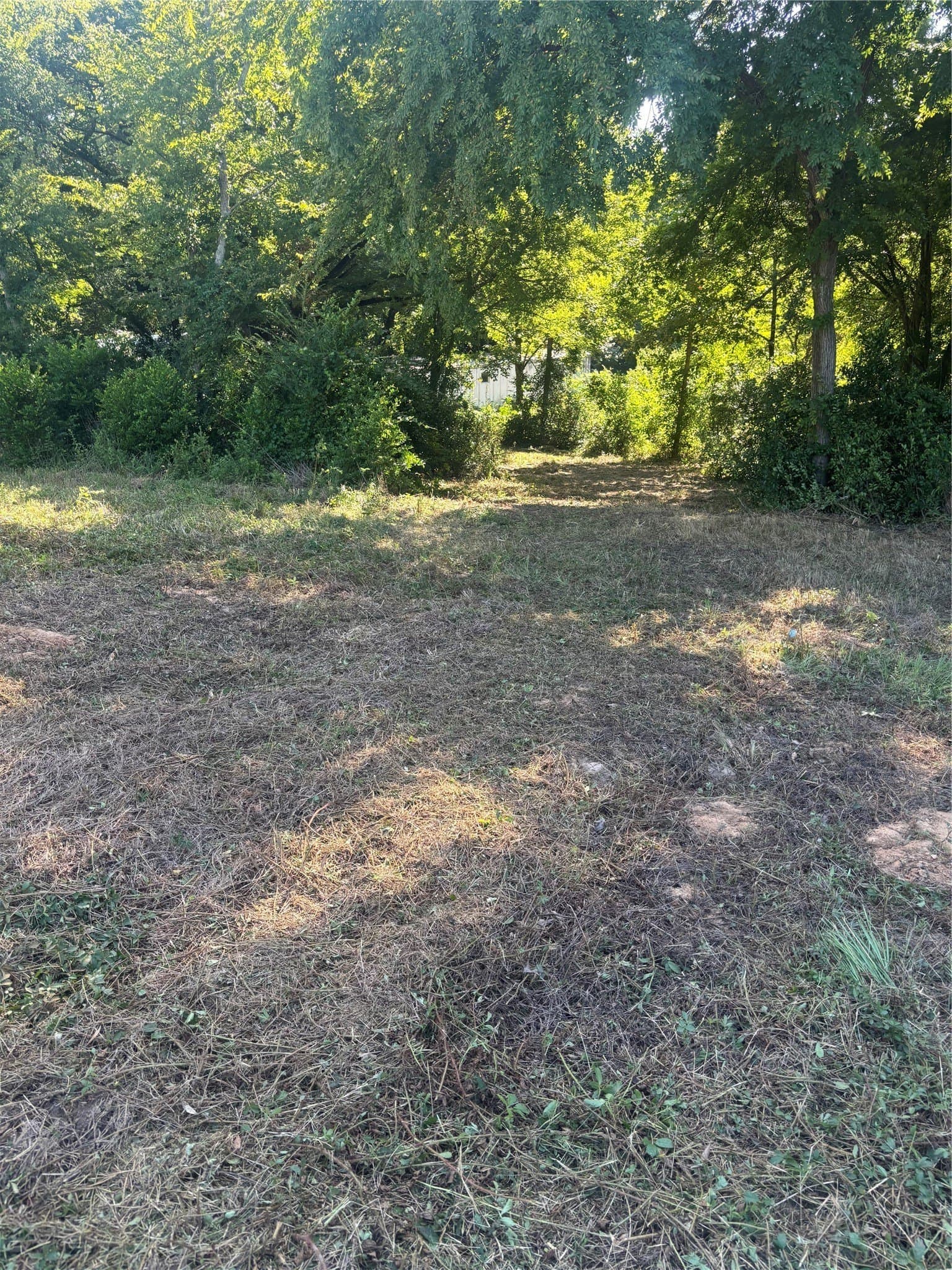 3 acres in Henderson County - photo 8