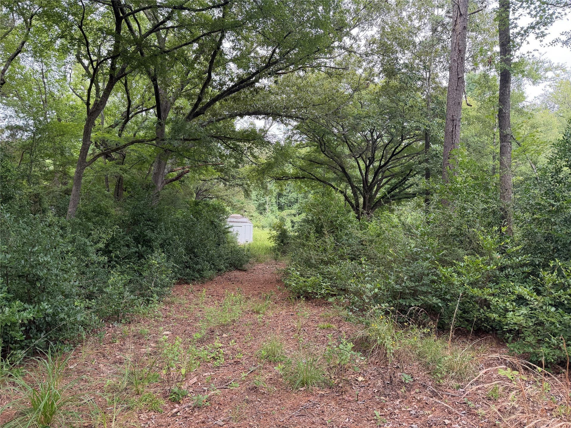 3 acres in Henderson County - photo 12