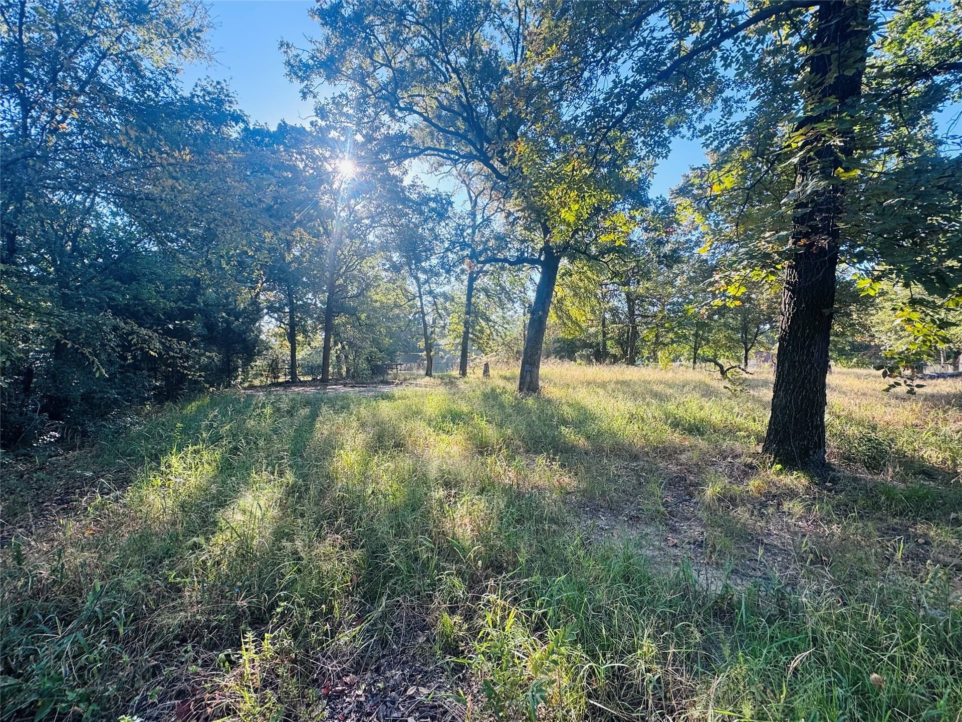0.46 acres in Henderson County - photo 8