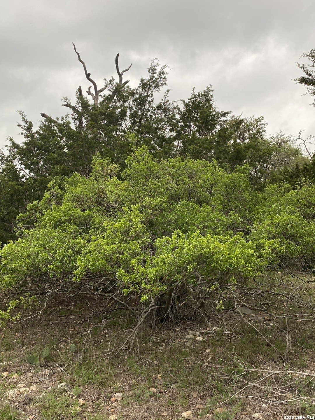 10.78 acres in Kendall County - photo 13