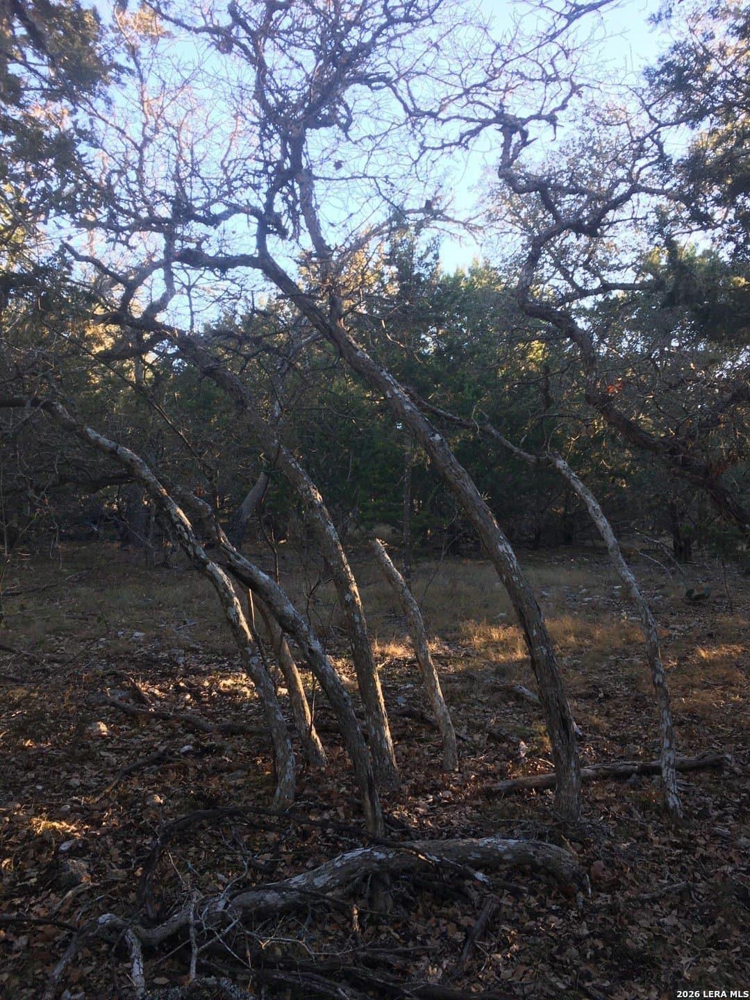 10.78 acres in Kendall County featured view