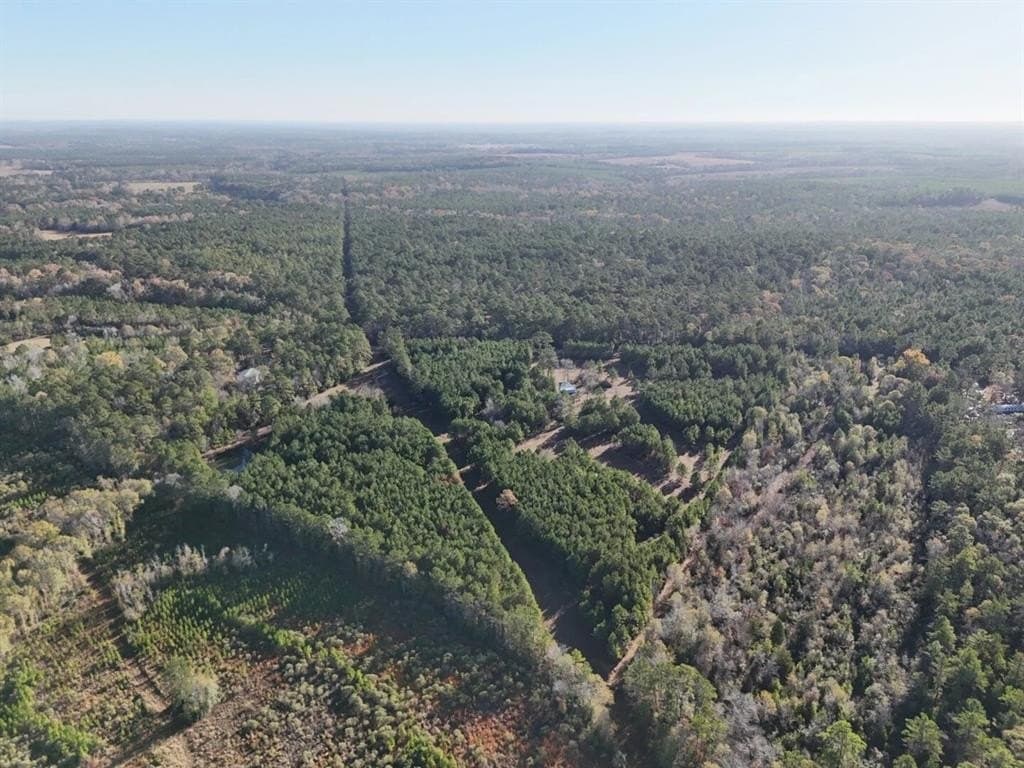 4.68 acres in Polk County featured view