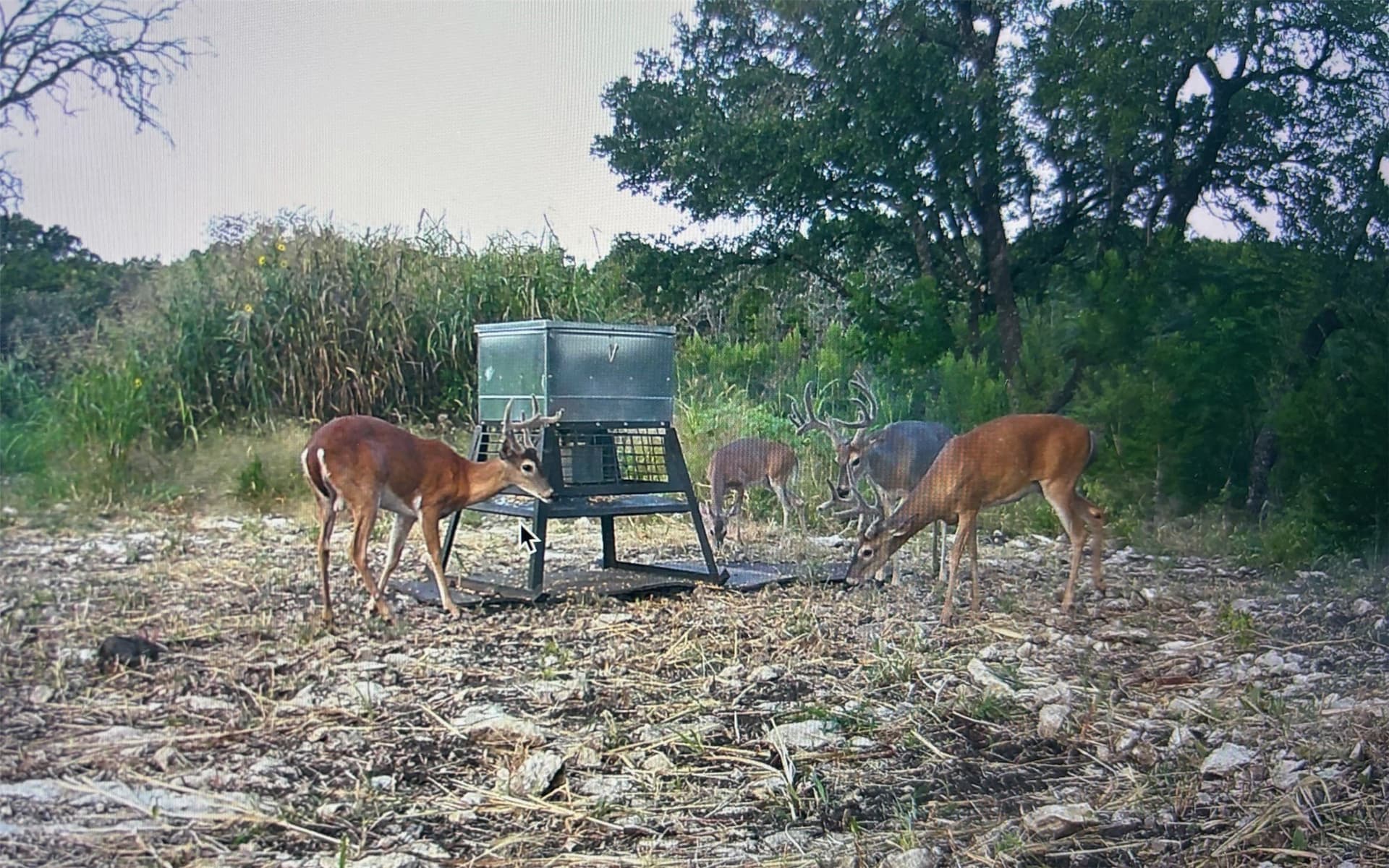 4.52 acres in McLennan County - photo 29