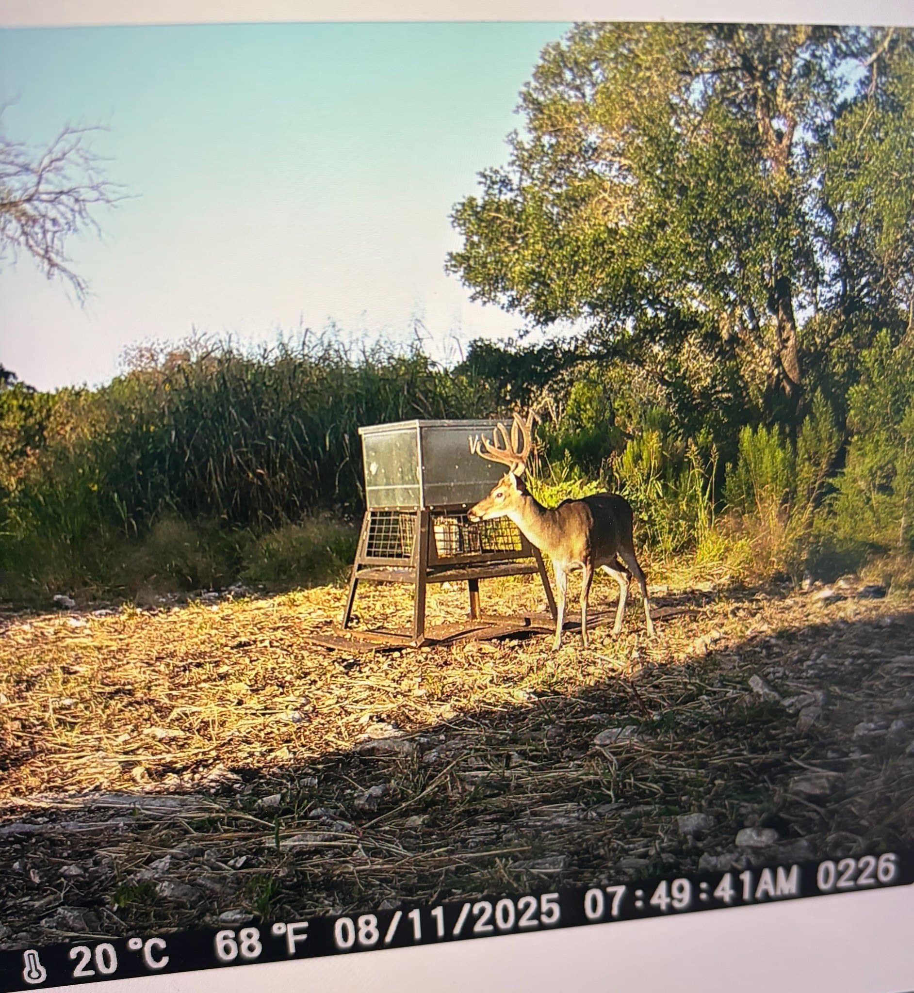 4.52 acres in McLennan County - photo 23