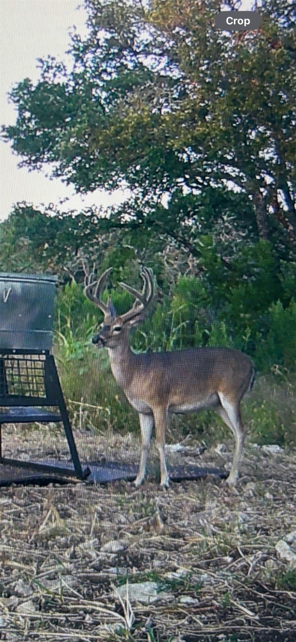 4.52 acres in McLennan County - photo 27