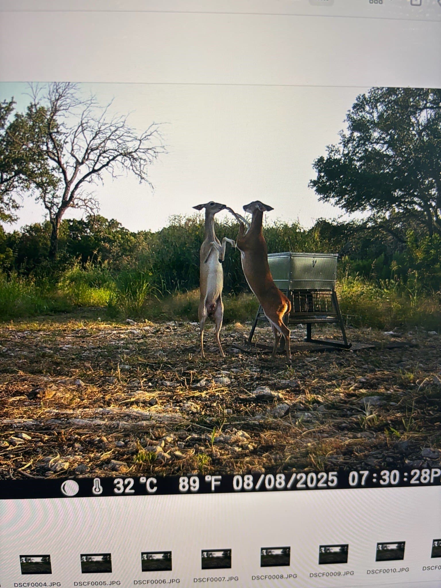 4.52 acres in McLennan County - photo 26