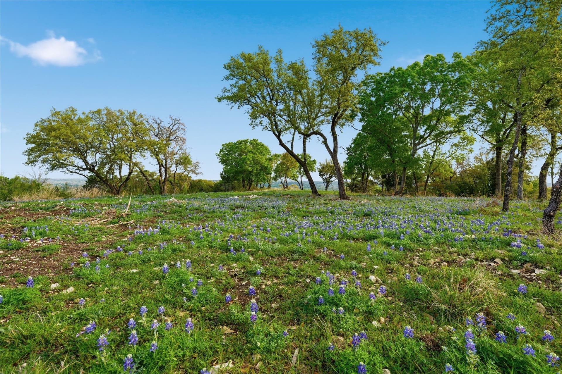 4.52 acres in McLennan County - photo 7