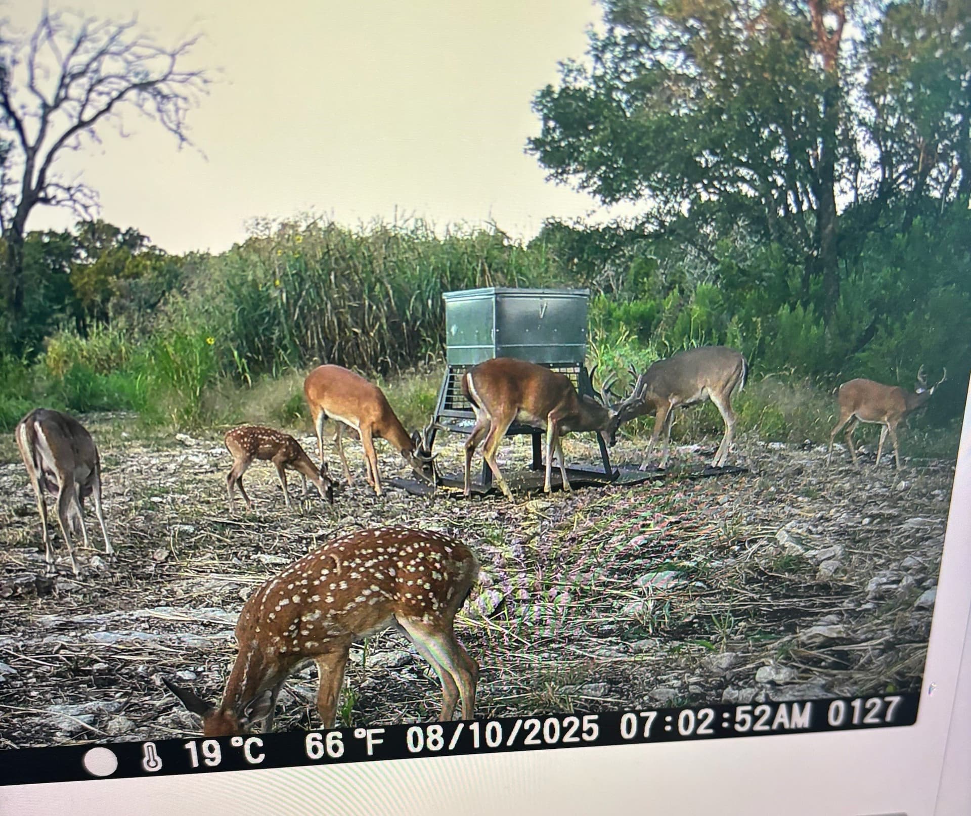 4.52 acres in McLennan County - photo 25
