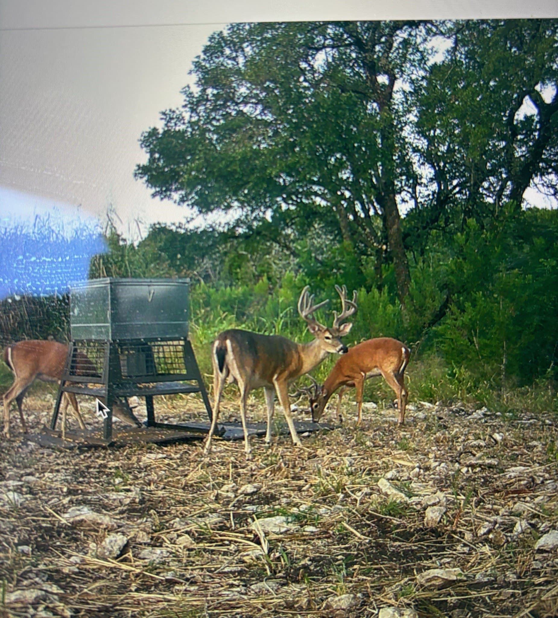 4.52 acres in McLennan County - photo 28