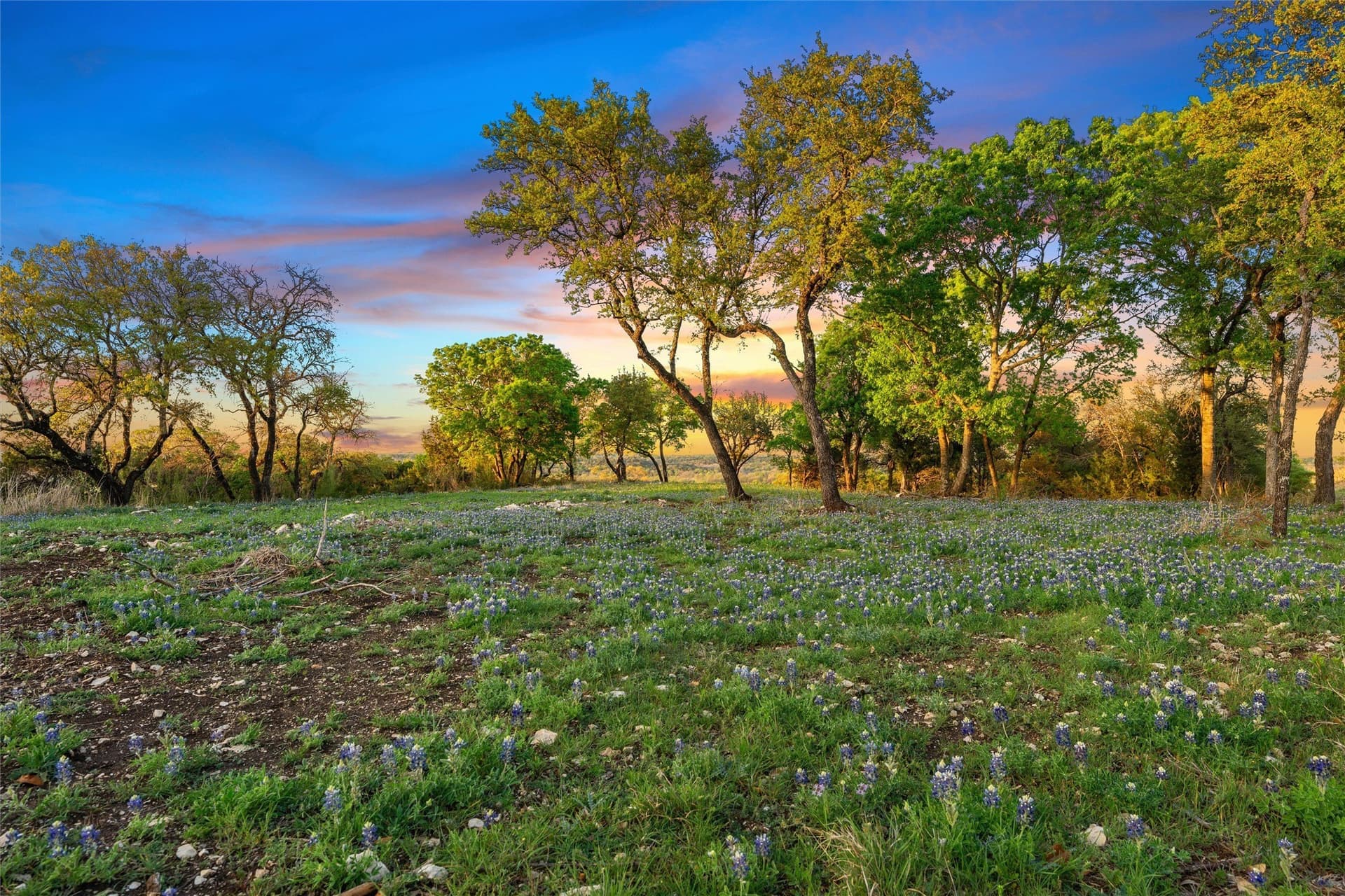 4.52 acres in McLennan County - photo 2