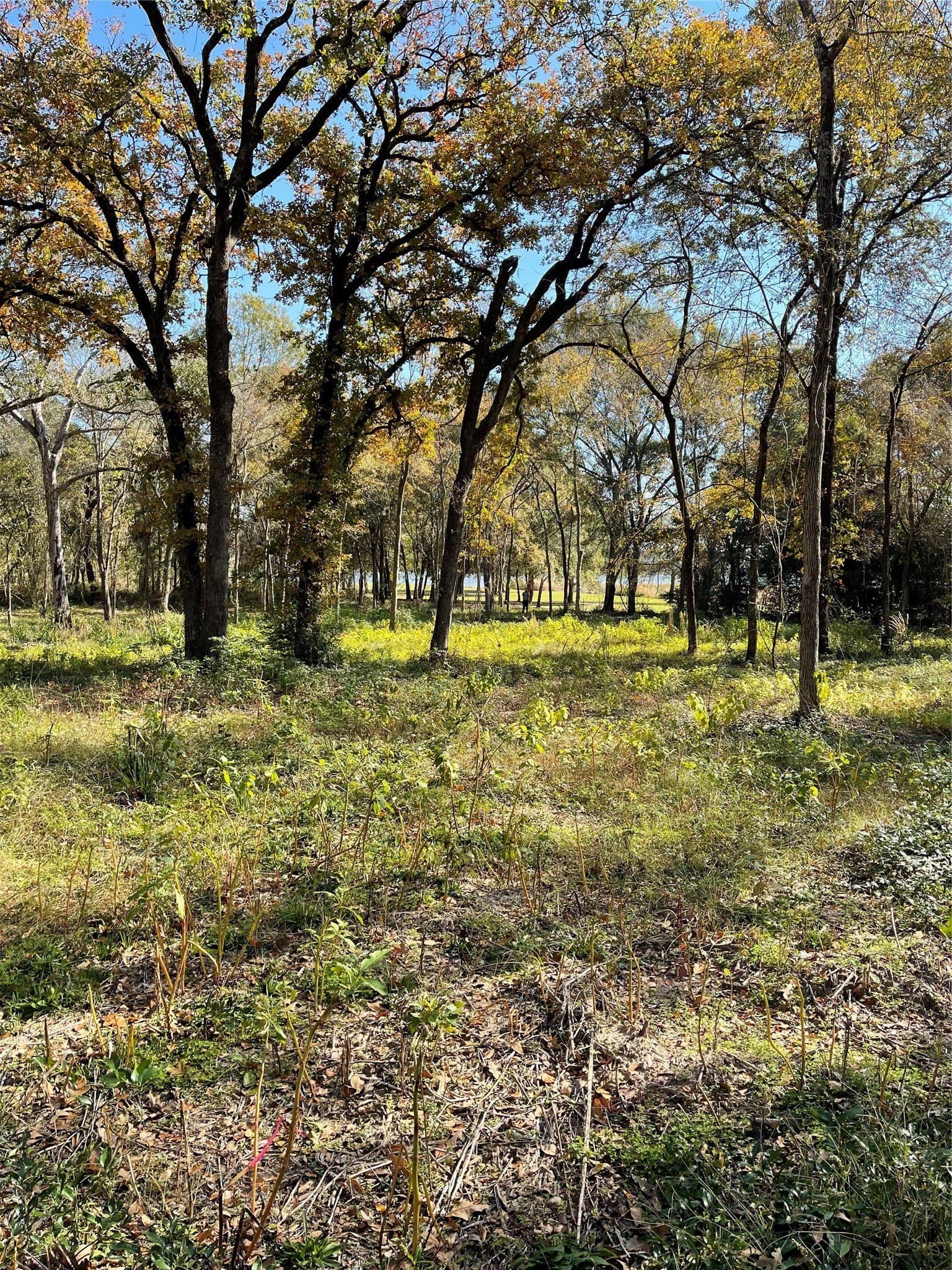 3.55 acres in Henderson County - photo 6
