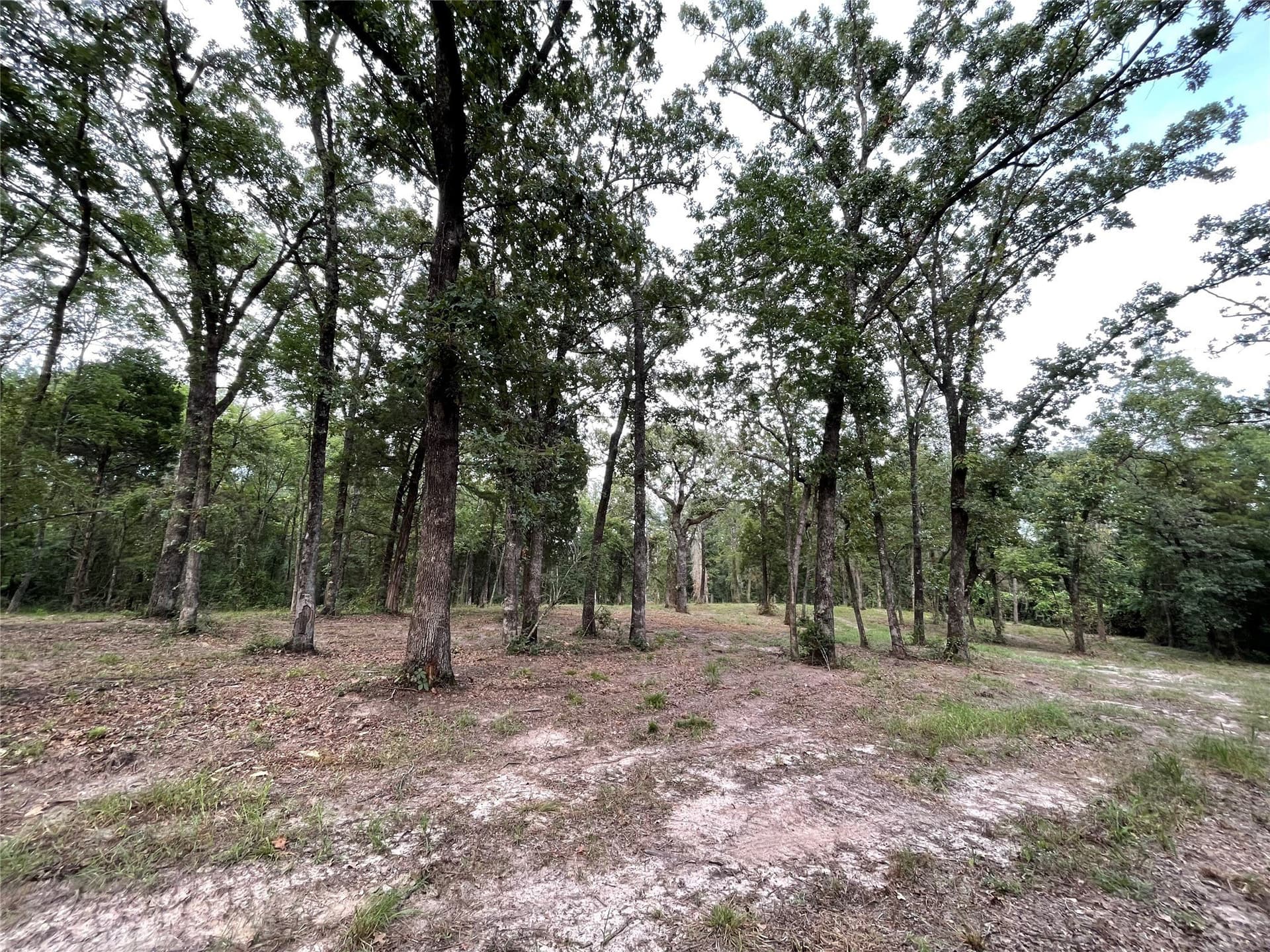 3.55 acres in Henderson County - photo 8