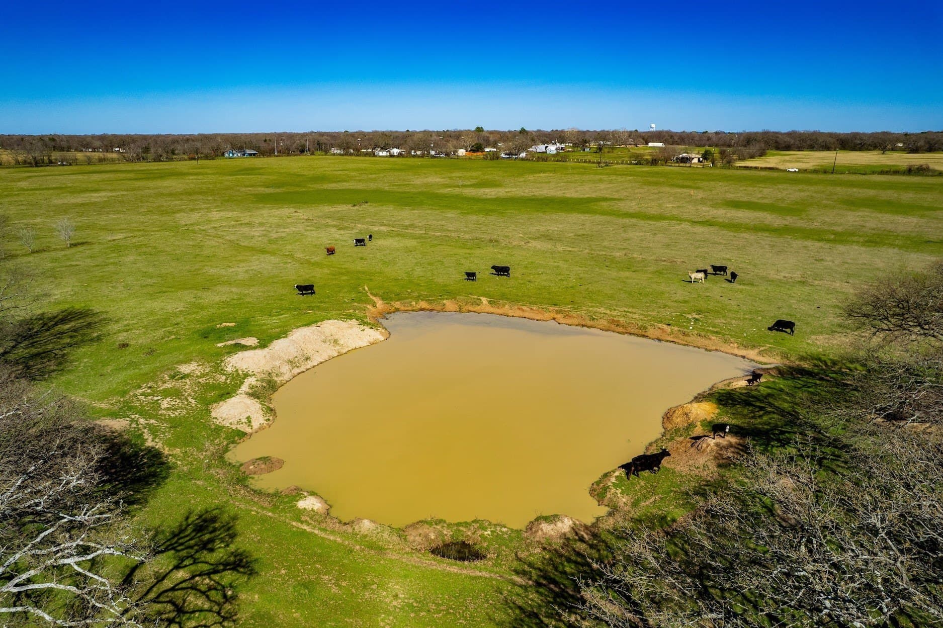 10.01 acres in Henderson County gallery image 3