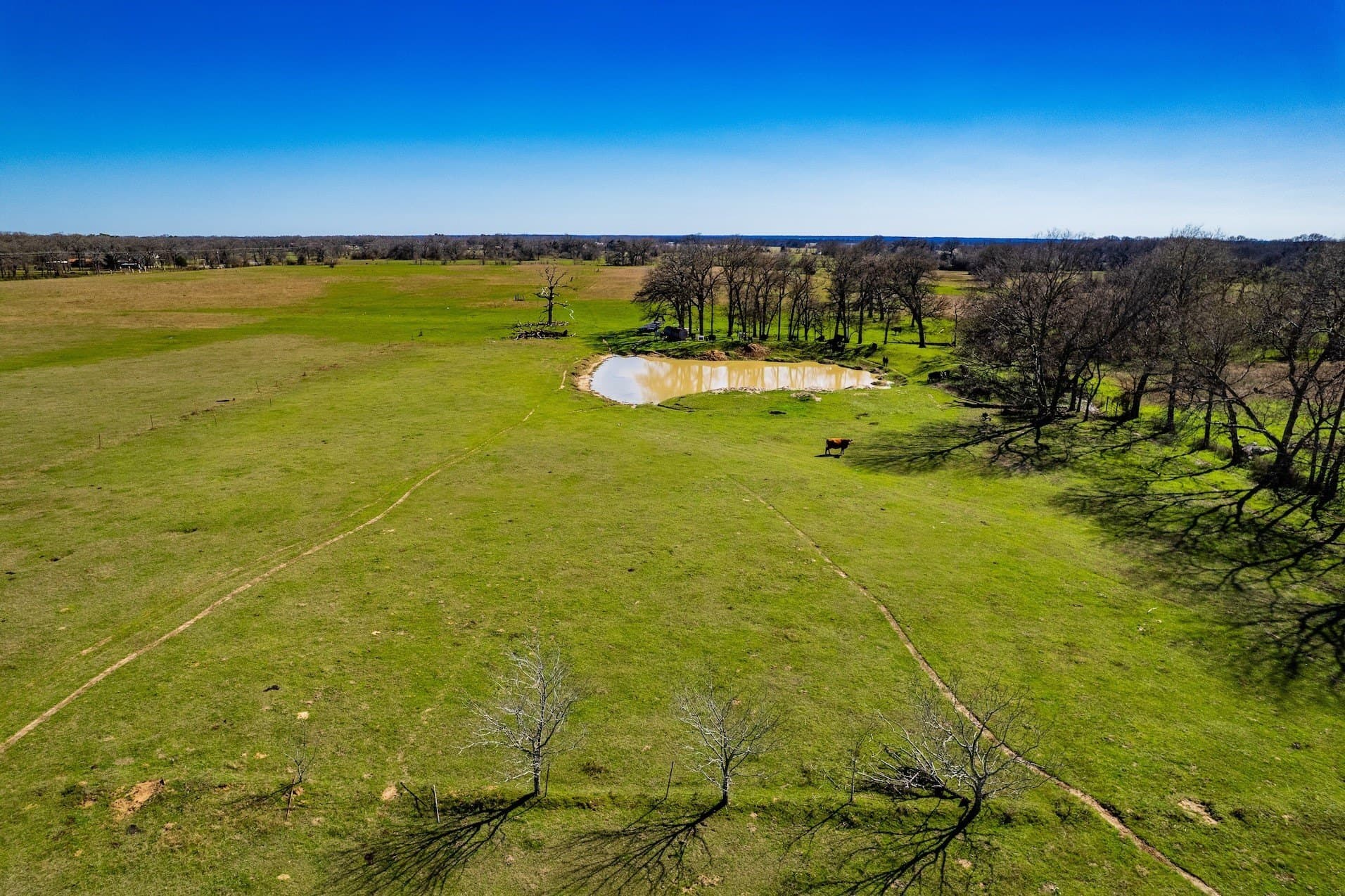 10.01 acres in Henderson County gallery image 2