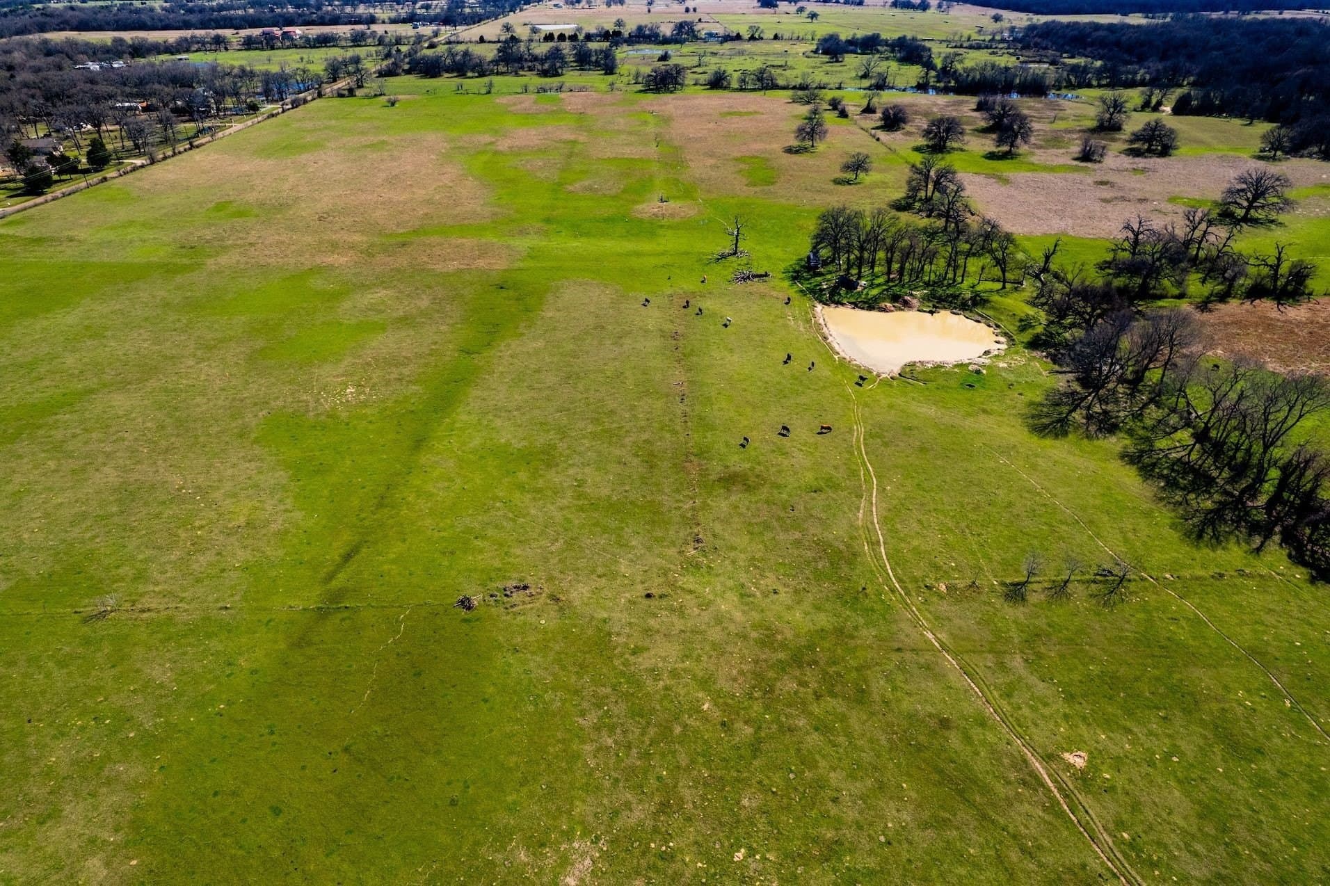 10.01 acres in Henderson County