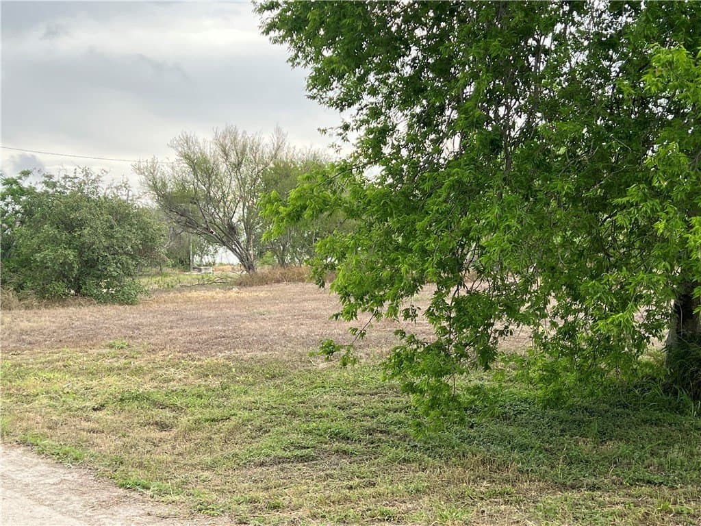 2.4 acres in Nueces County - photo 27
