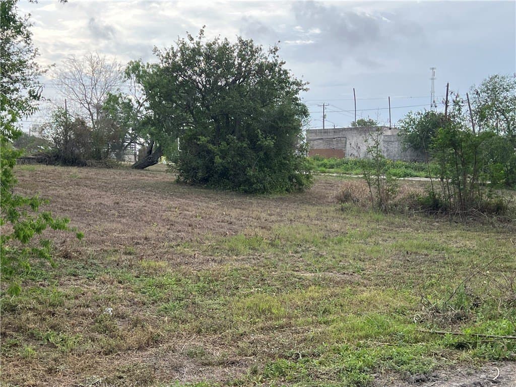 2.4 acres in Nueces County - photo 8