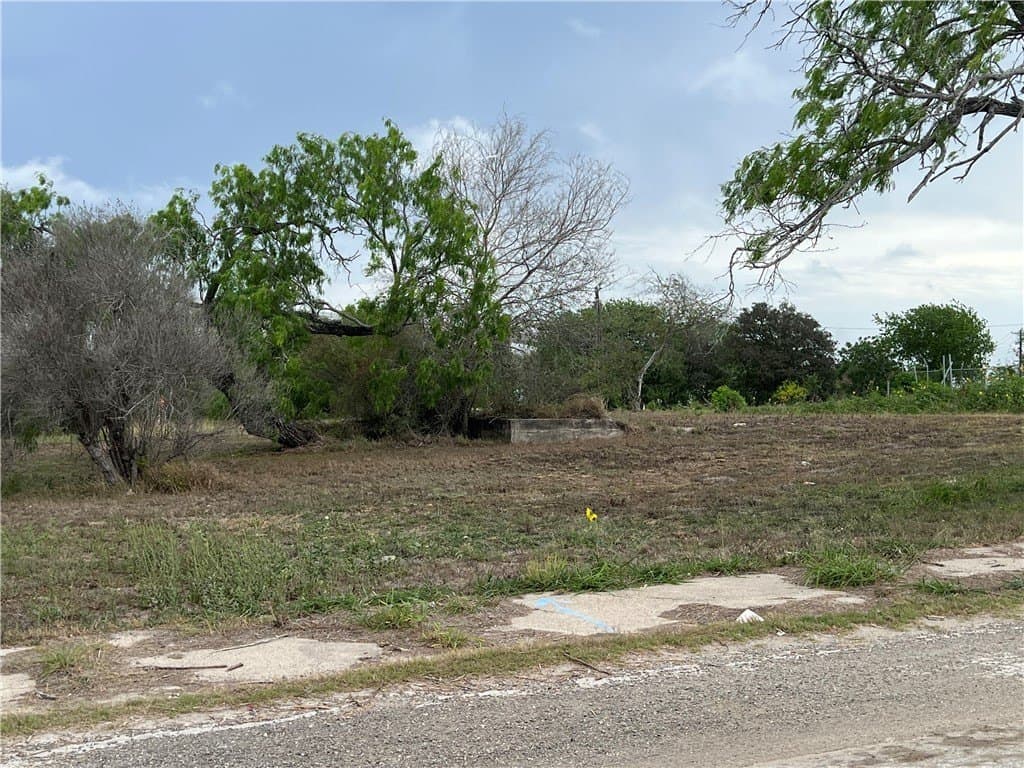 2.4 acres in Nueces County - photo 20