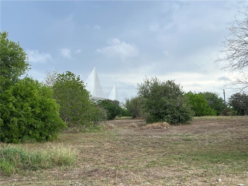 2.4 acres in Nueces County - photo 16