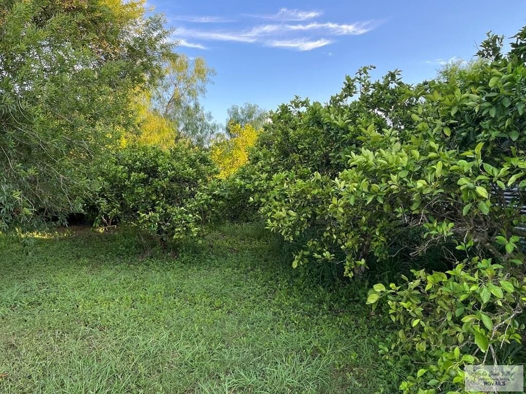 0.58 acres in CAMERON County gallery image 2