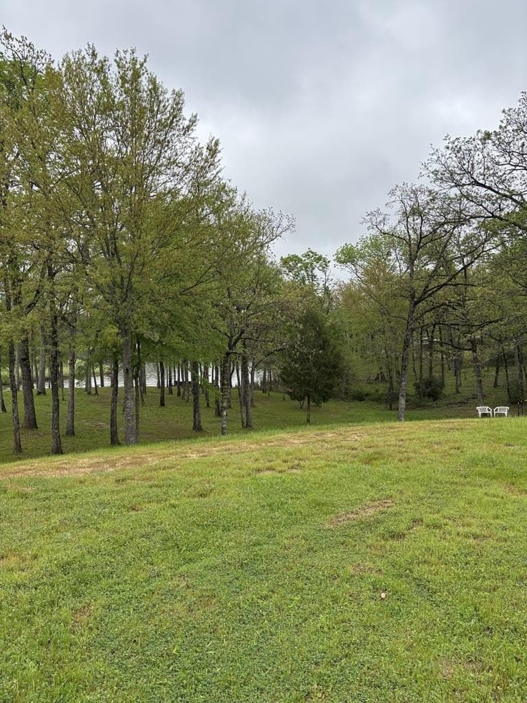 1 acres in Henderson County - photo 2
