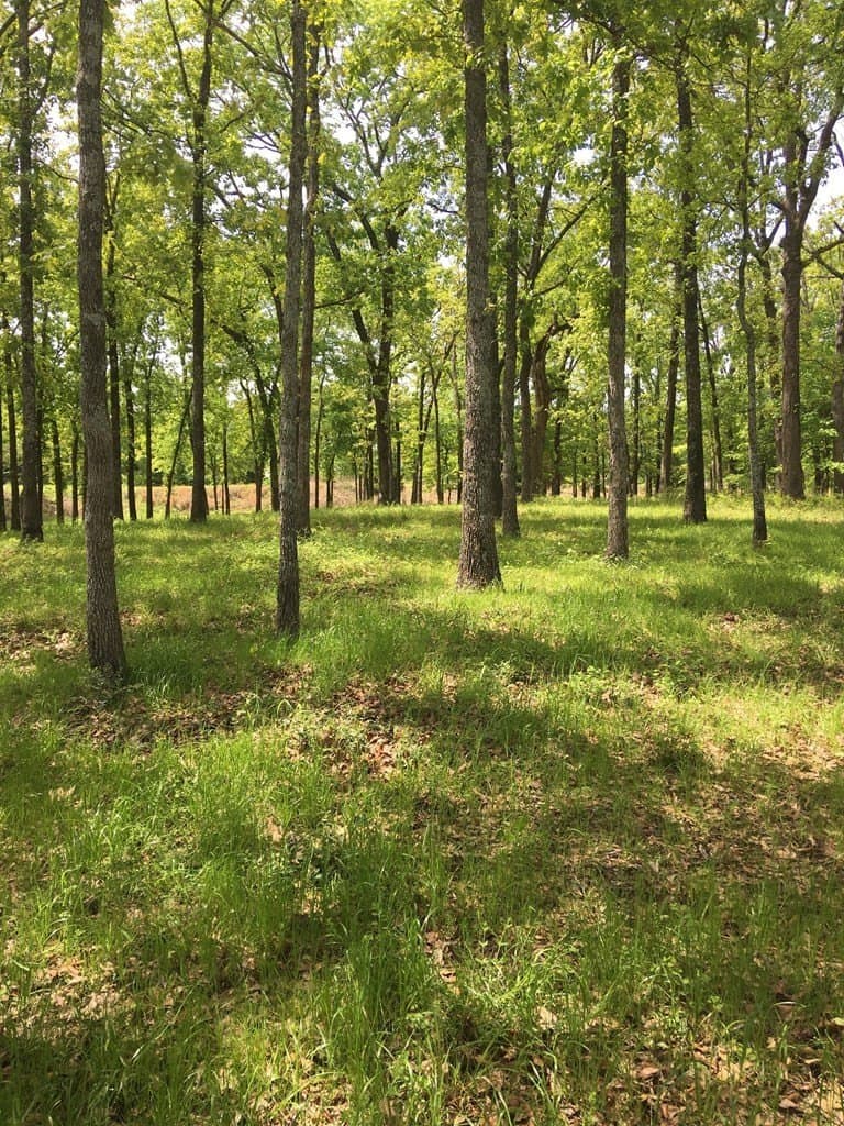 1 acres in Henderson County - photo 12