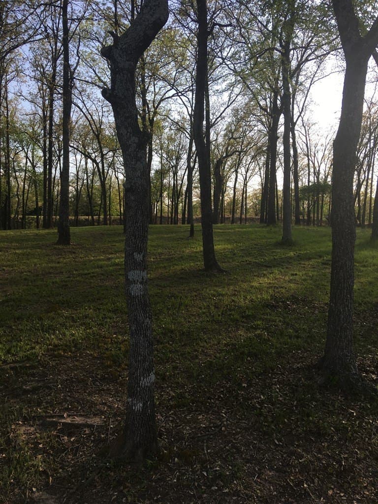 1 acres in Henderson County - photo 13