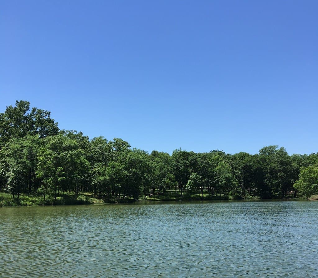 1 acres in Henderson County - photo 7