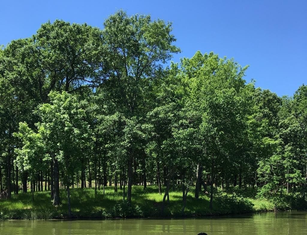1 acres in Henderson County - photo 11