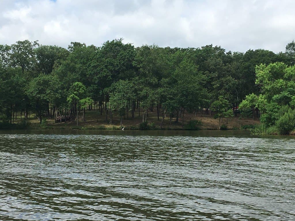 1 acres in Henderson County - photo 9