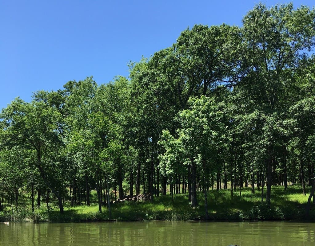 1 acres in Henderson County - photo 10