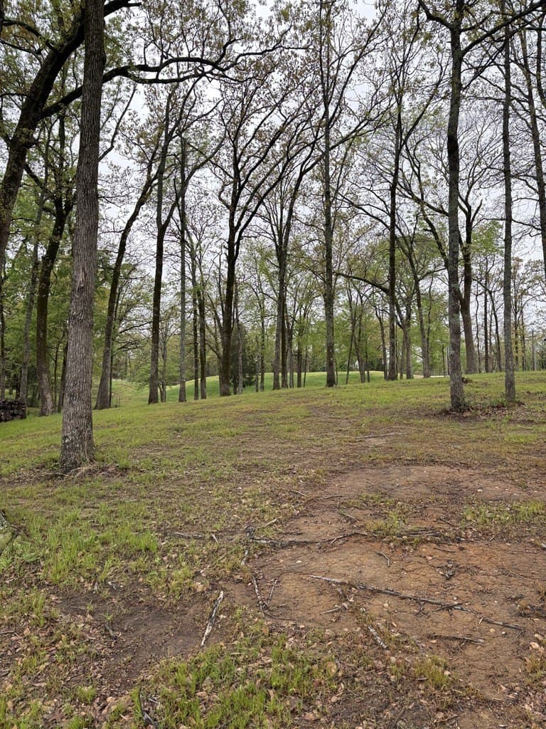 1 acres in Henderson County - photo 14