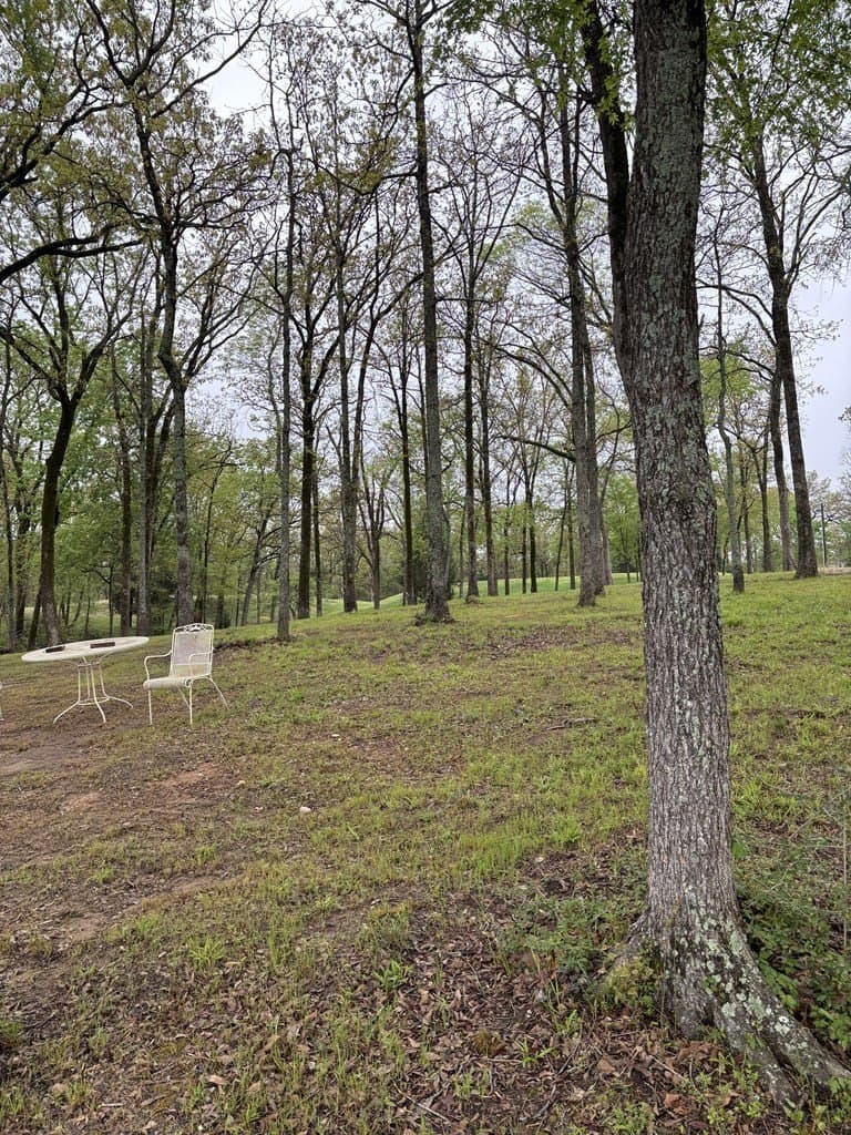 1 acres in Henderson County - photo 15