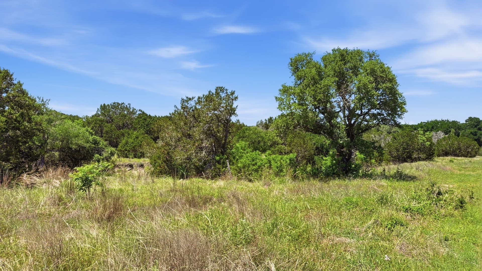 10.04 acres in Hamilton County - photo 9