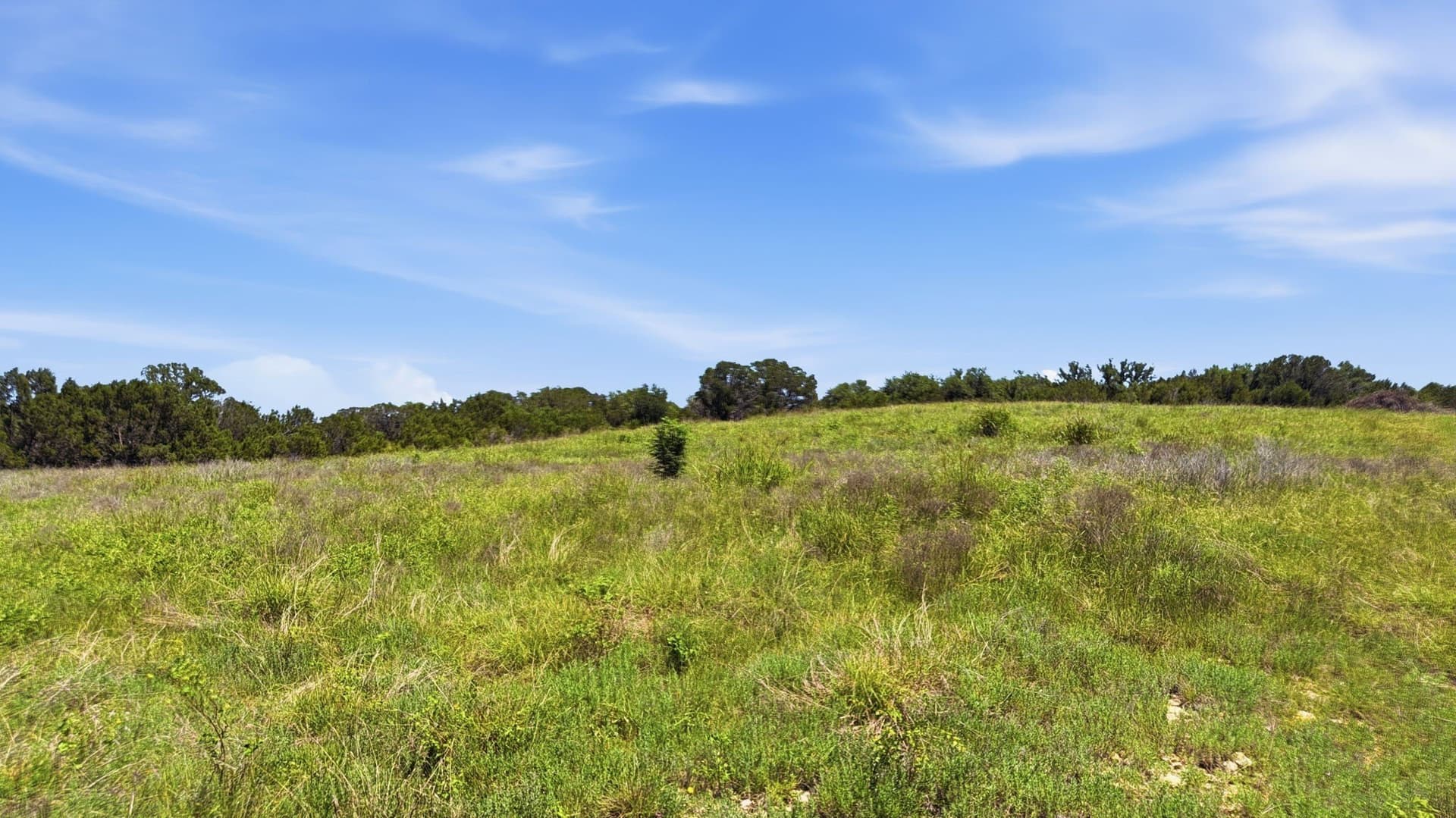 10.04 acres in Hamilton County - photo 17